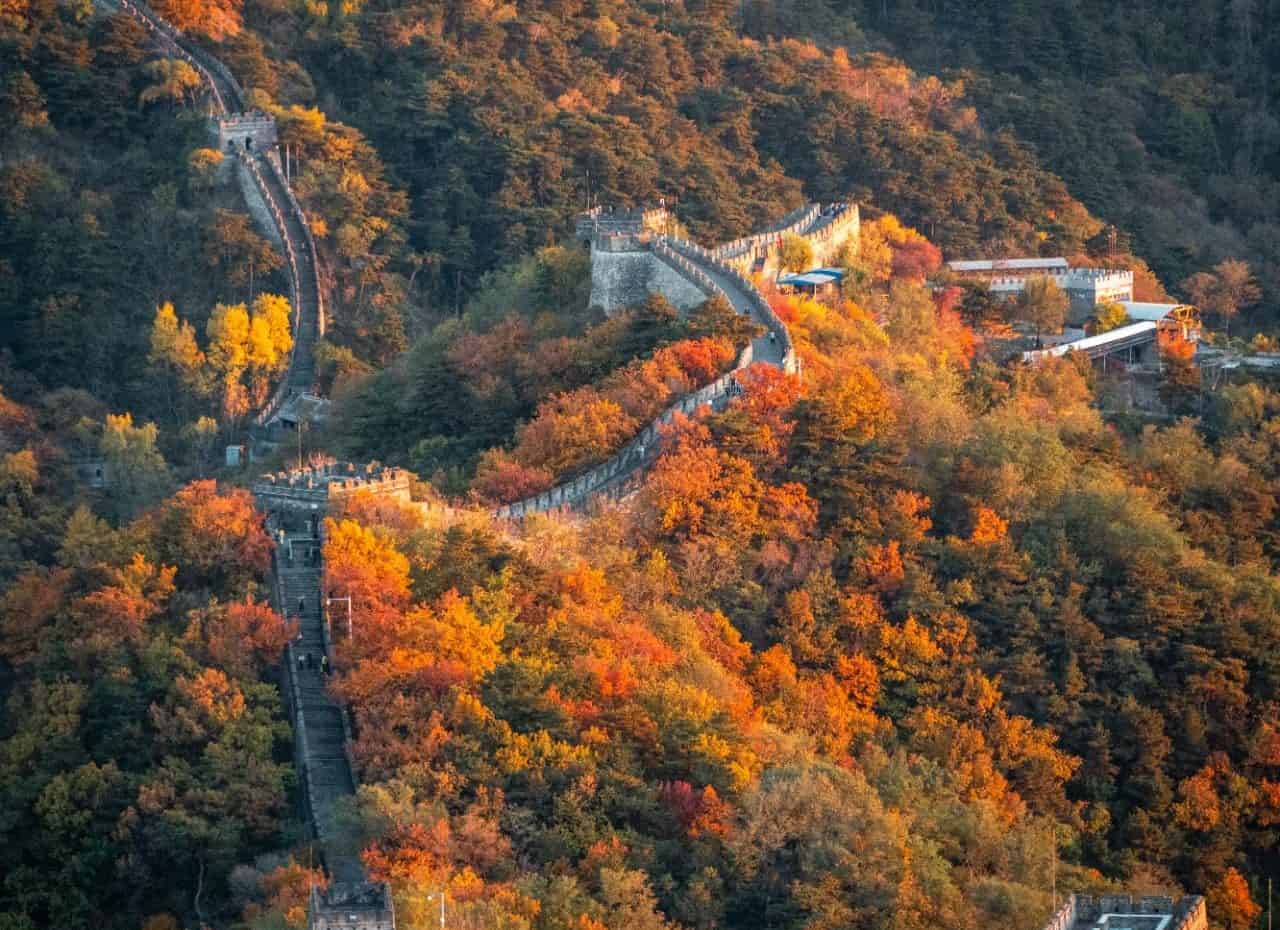 The Mutianyu Great Wall in autumn, with golden leaves and the wall bathed in warm light, Beijing, China.