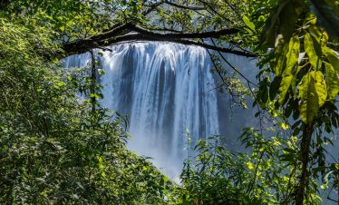 View of Huangguoshu Waterfall through trees, Guizhou, China.