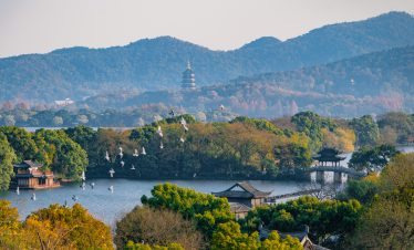 A flock of birds fly over the West Lake in the autumn.