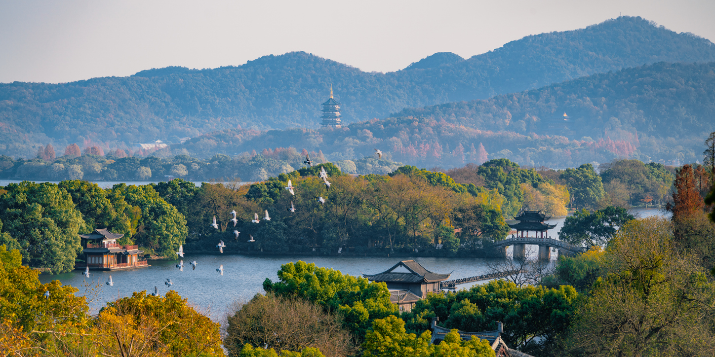 A flock of birds fly over the West Lake in the autumn.