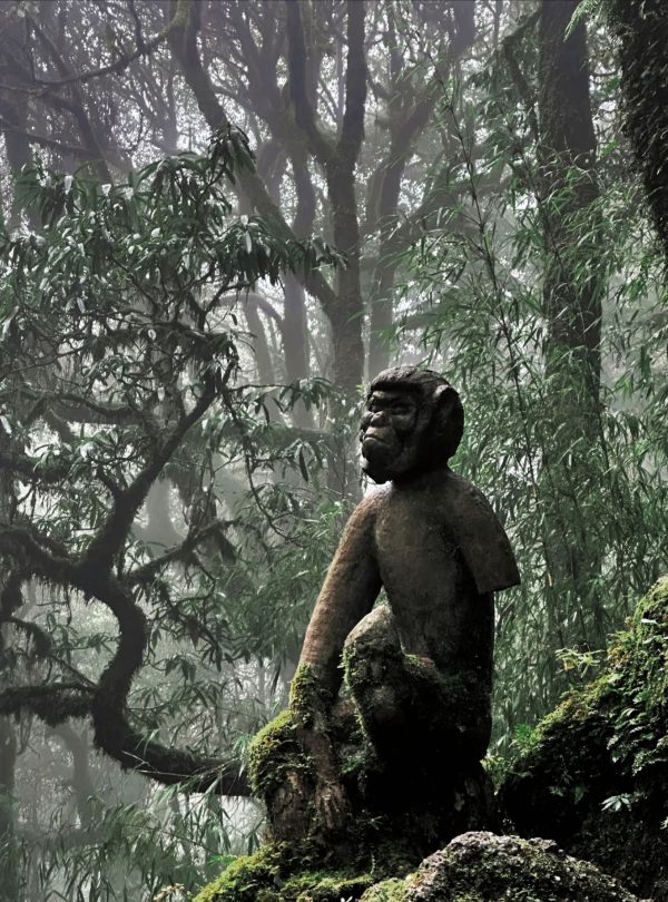 Ape statue in Ailao Mountain Jinshan Primeval Forest Park