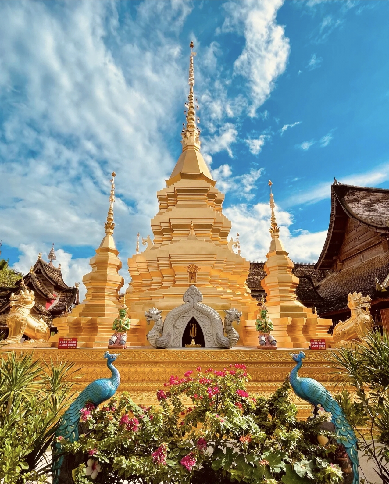 Buddhist architecture and peacock statue at Xishuangbanna Dai Ethnic Garden