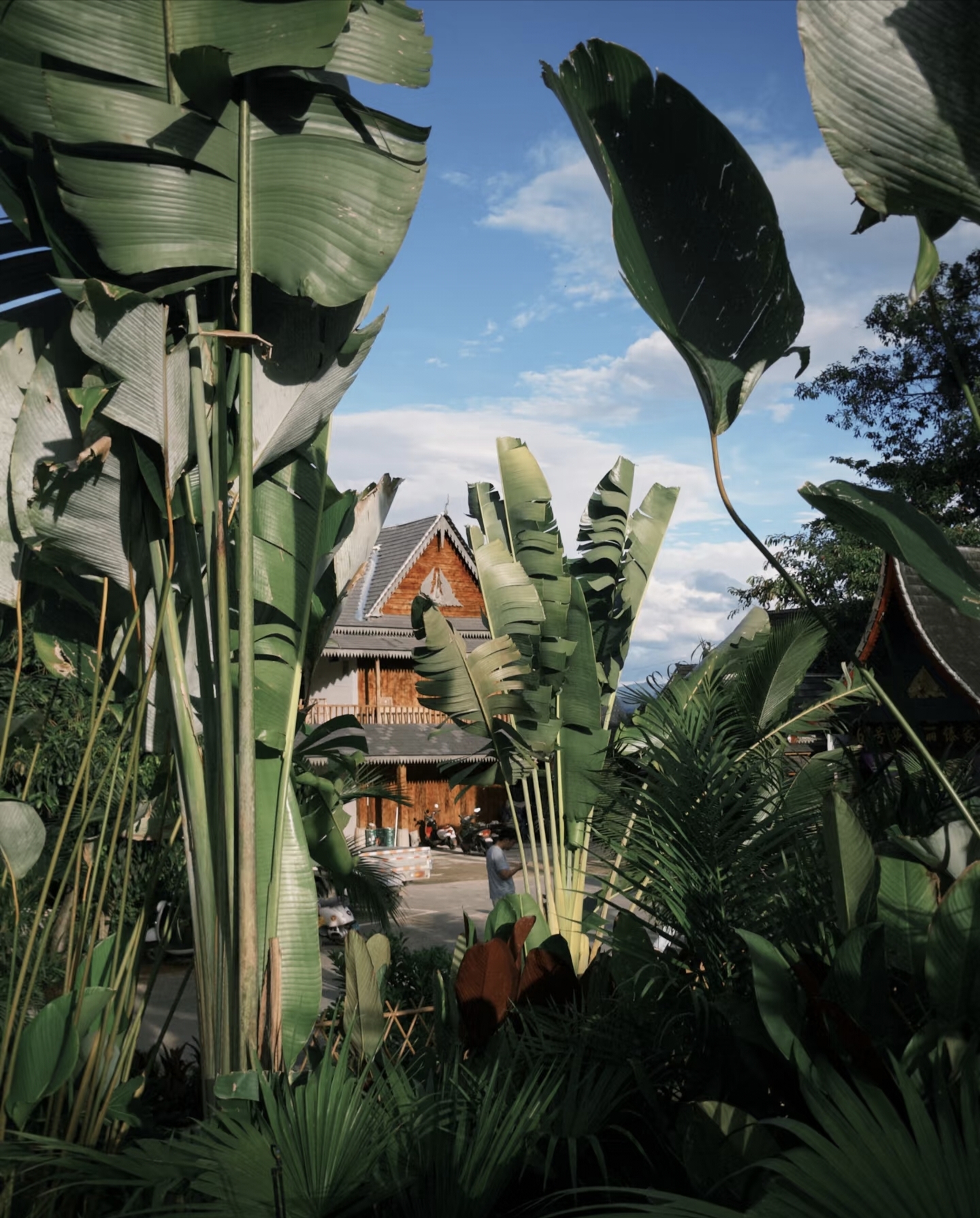 Manyuan Village hidden behind banana leaves in Xishuangbanna Yunnan