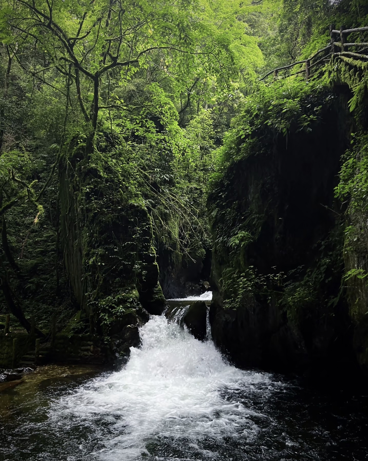 Stream flowing through lush greenery in Ailao Mountain Shimen Gorge