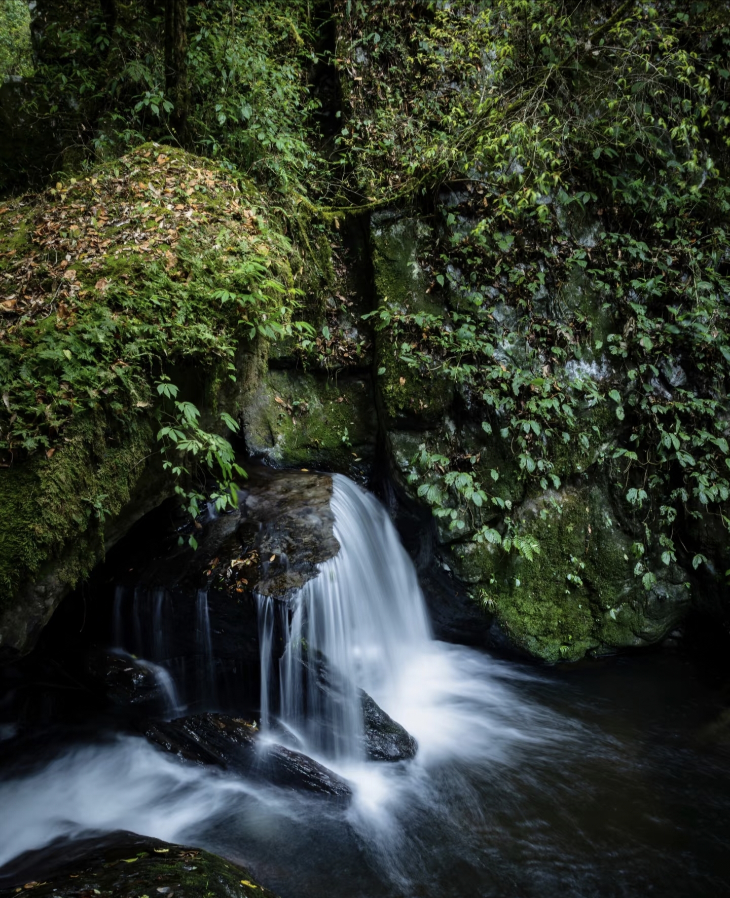 Close-up of clear stream in Ailao Mountain Shimen Gorge