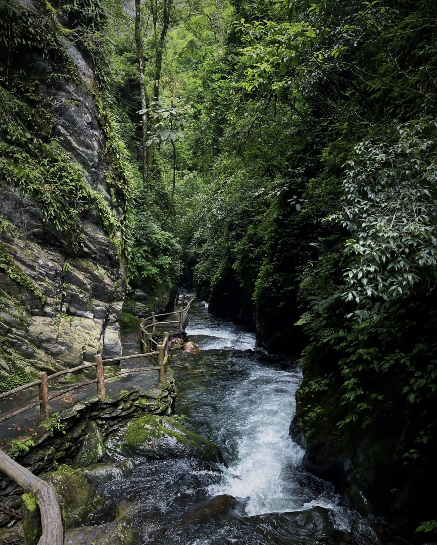 Path and stream between steep cliffs in Ailao Mountain Shimen Gorge