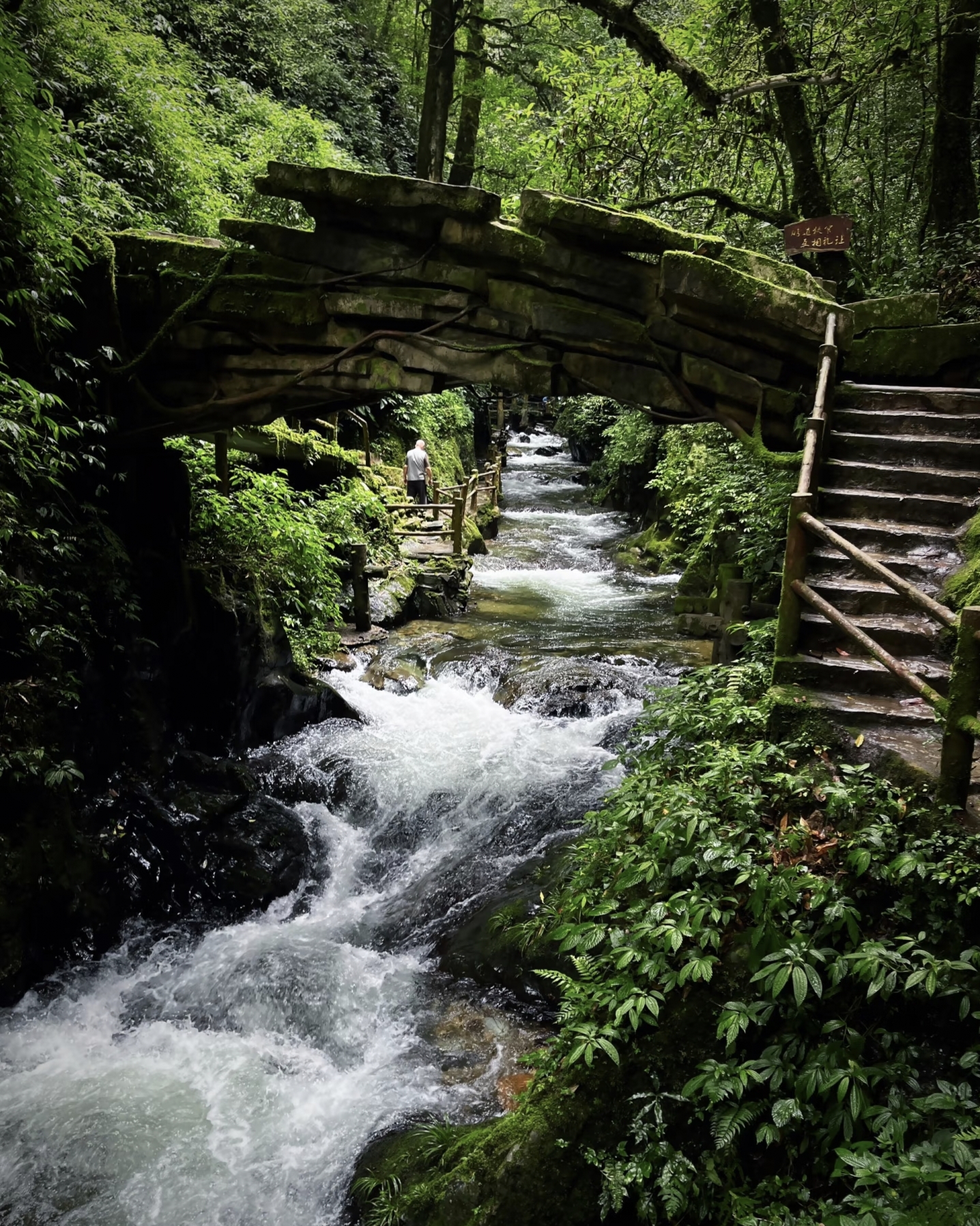 Path and stream between steep cliffs in Ailao Mountain Shimen Gorge