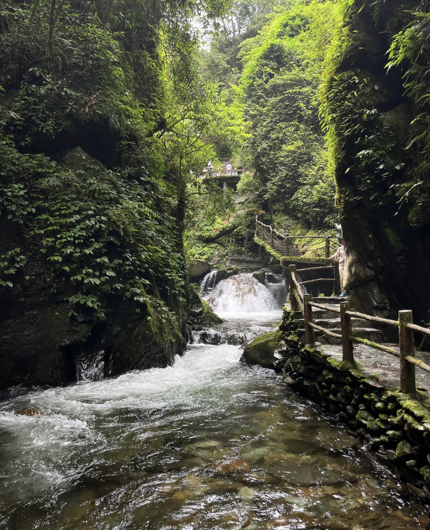 Path and stream between steep cliffs in Ailao Mountain Shimen Gorge