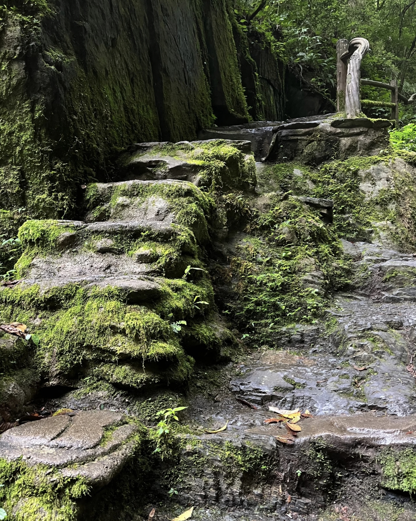 Fresh spring water flowing over rocks in Ailao Mountain Shimen Gorge