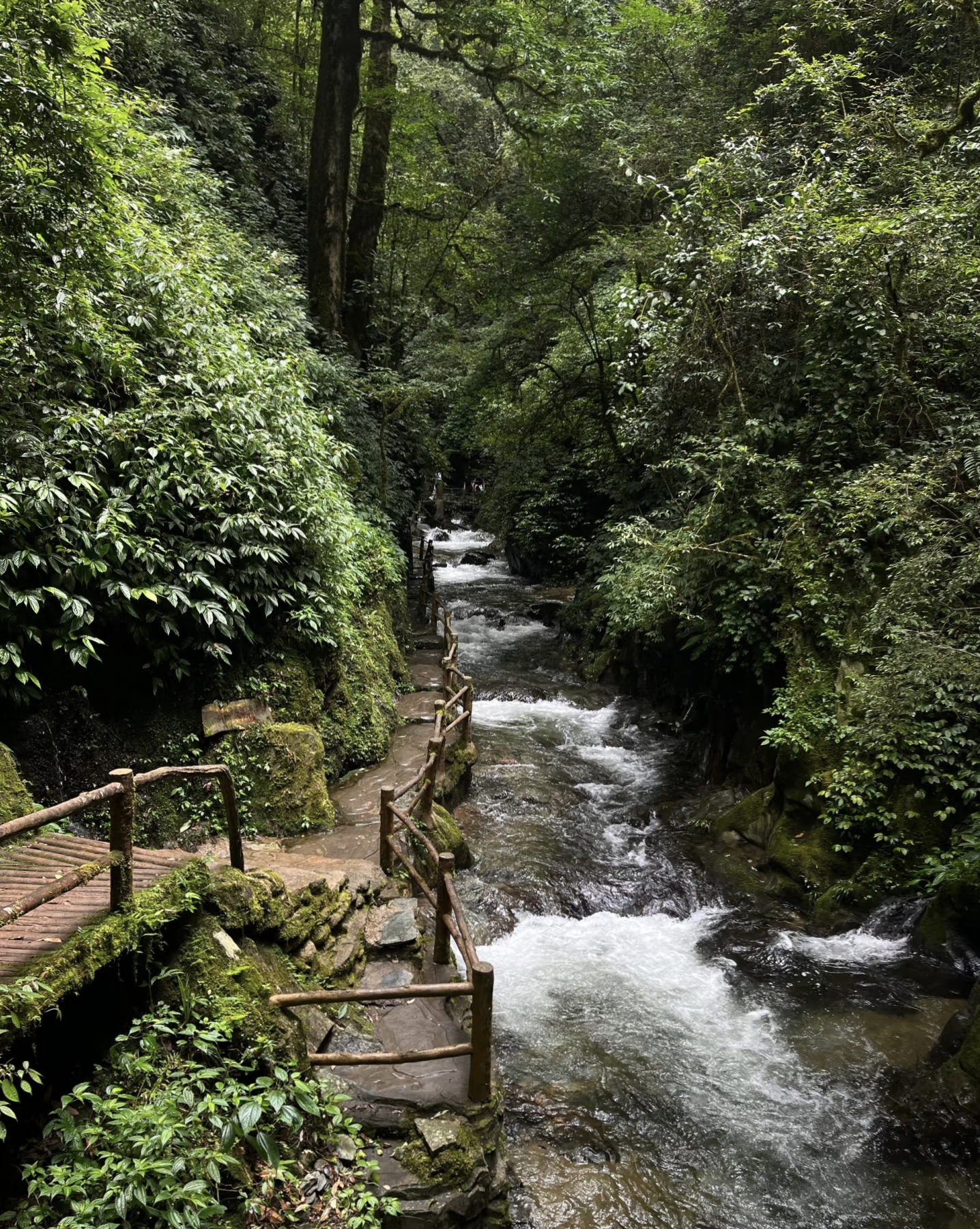 Path and stream between steep cliffs in Ailao Mountain Shimen Gorge