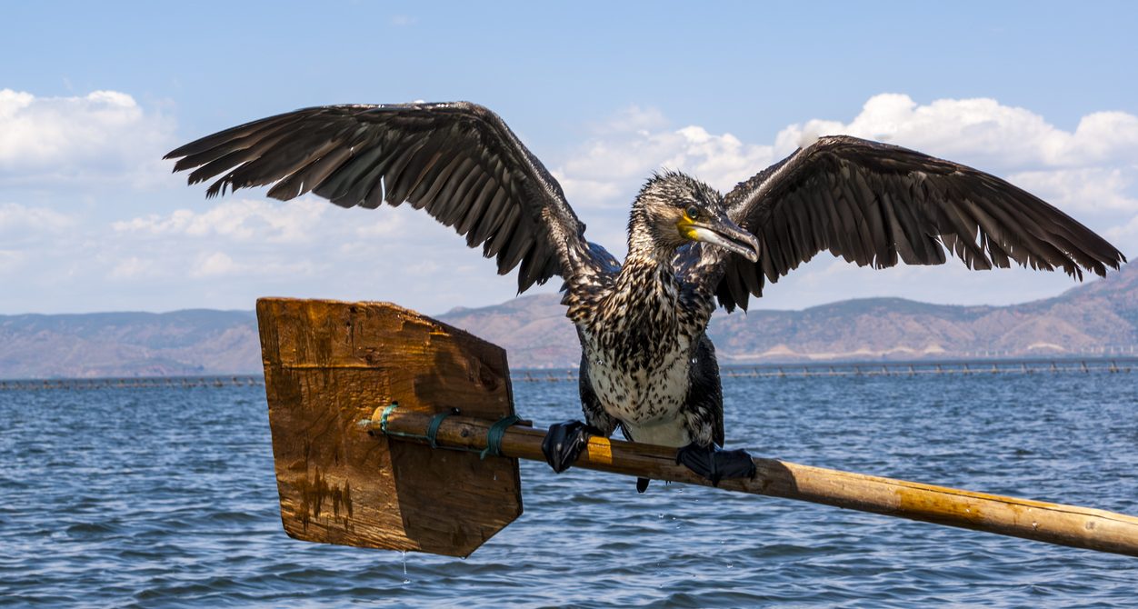 Erhai Lake Travel Guide: How to Explore the Jewel of Dali