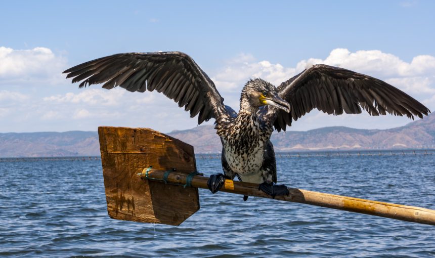 Erhai Lake Travel Guide: How to Explore the Jewel of Dali