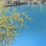 Yellow autumn leaves in front of the clear blue water at Blue Moon Valley, Yunnan, China.