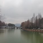 A scenic bridge over West Lake in Hangzhou, China, showcasing traditional architecture.