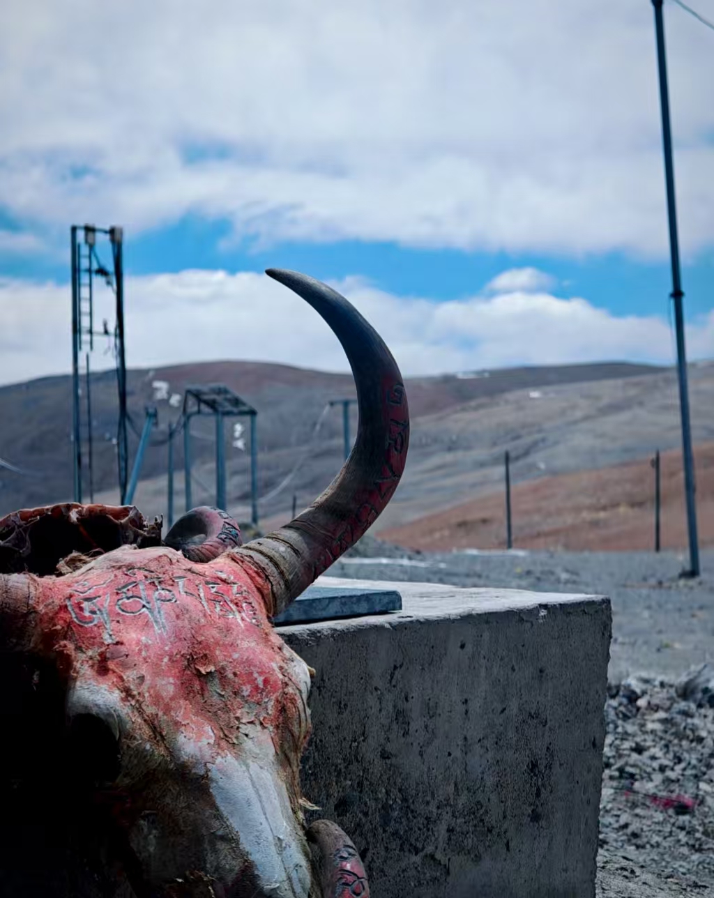 Yak skull with Tibetan symbols in Darchen Tibet