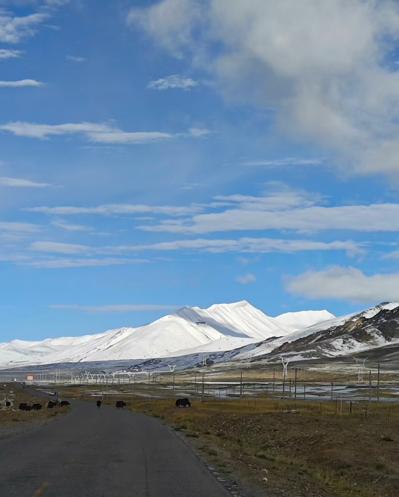 Distant snow-capped mountains in Saga Tibet