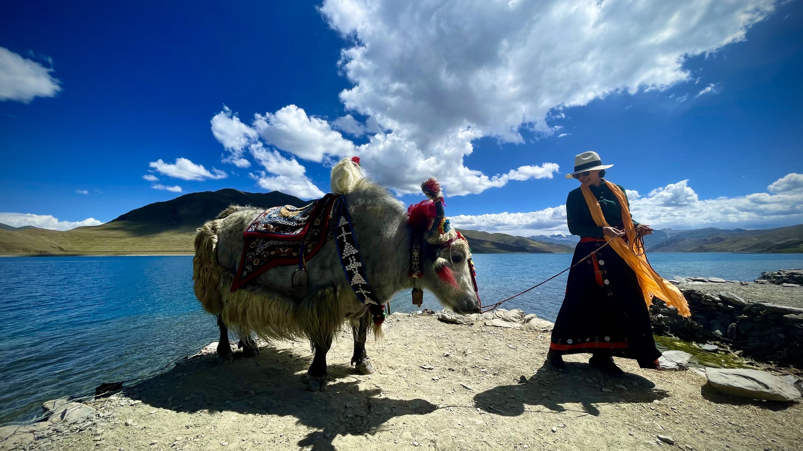 Tourist posing with yak at Yamdrok Lake in Tibet