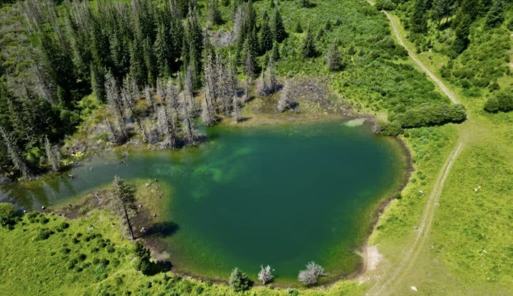 erial view of Munigou Valley in Songpan, Sichuan, China, where a turquoise lake hides among lush forests